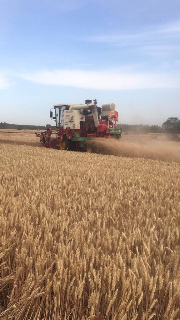 0161b5ead61b4305a8815e52e41dcb5b