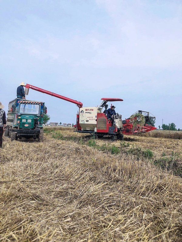 4e689c065216488eaecbcc5a713fb5fc