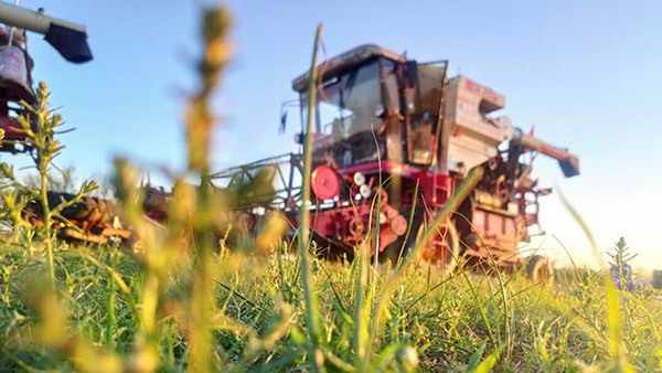 4f94947d581943719eff9fd32082e440