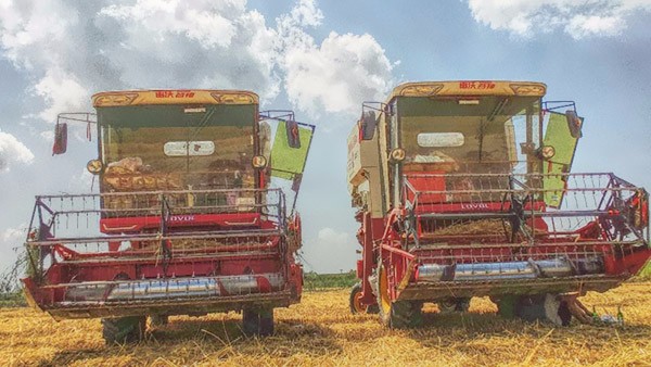 831e319e2d1a40b0a2b38020ce57246f