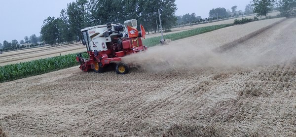 977f5ad8c82b4f80aaa77fc5de6a5335