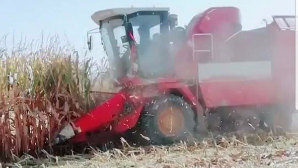 b77ecd3d6d4441e9951b0c37903bac76