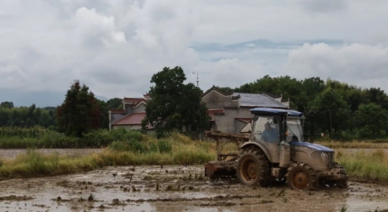 fda1c5fd273c4e31b14f7cef9f785a2b