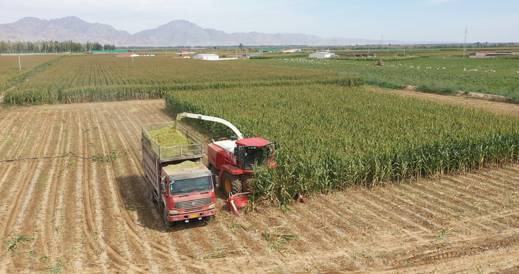 腾博会官网 - 诚信为本,专业服务!