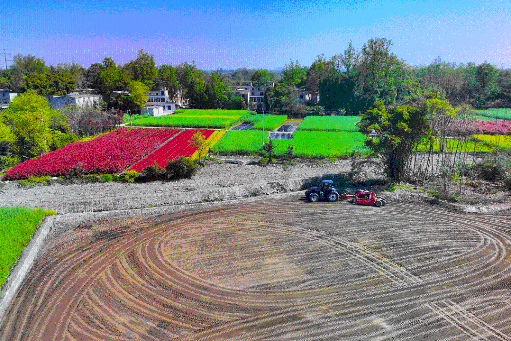 68e61821a8f44b799d09320a9a2090ad