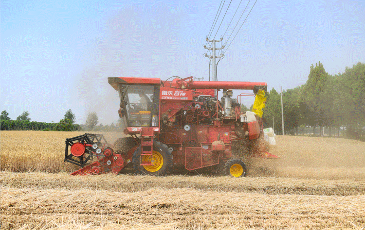 c11857ac722d4a53882e96e777444176