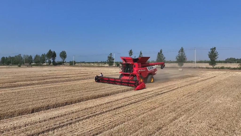 8751abb9ba68422c9e0dc340df645d69