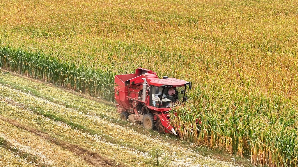 腾博会官网 - 诚信为本,专业服务!