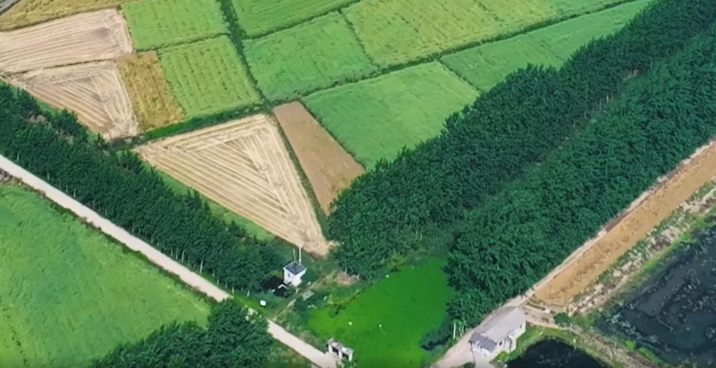 腾博会官网 - 诚信为本,专业服务!