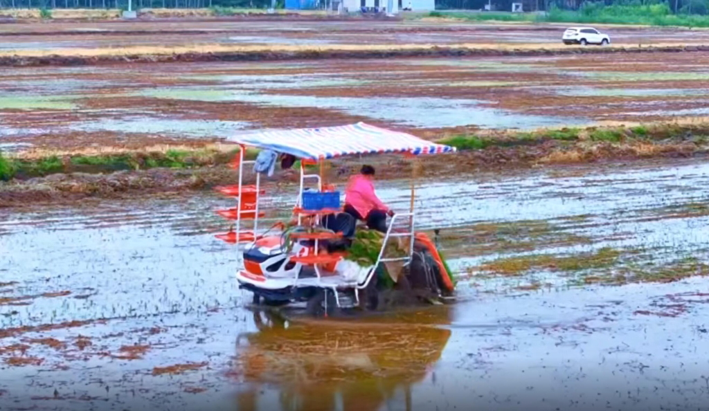腾博会官网 - 诚信为本,专业服务!